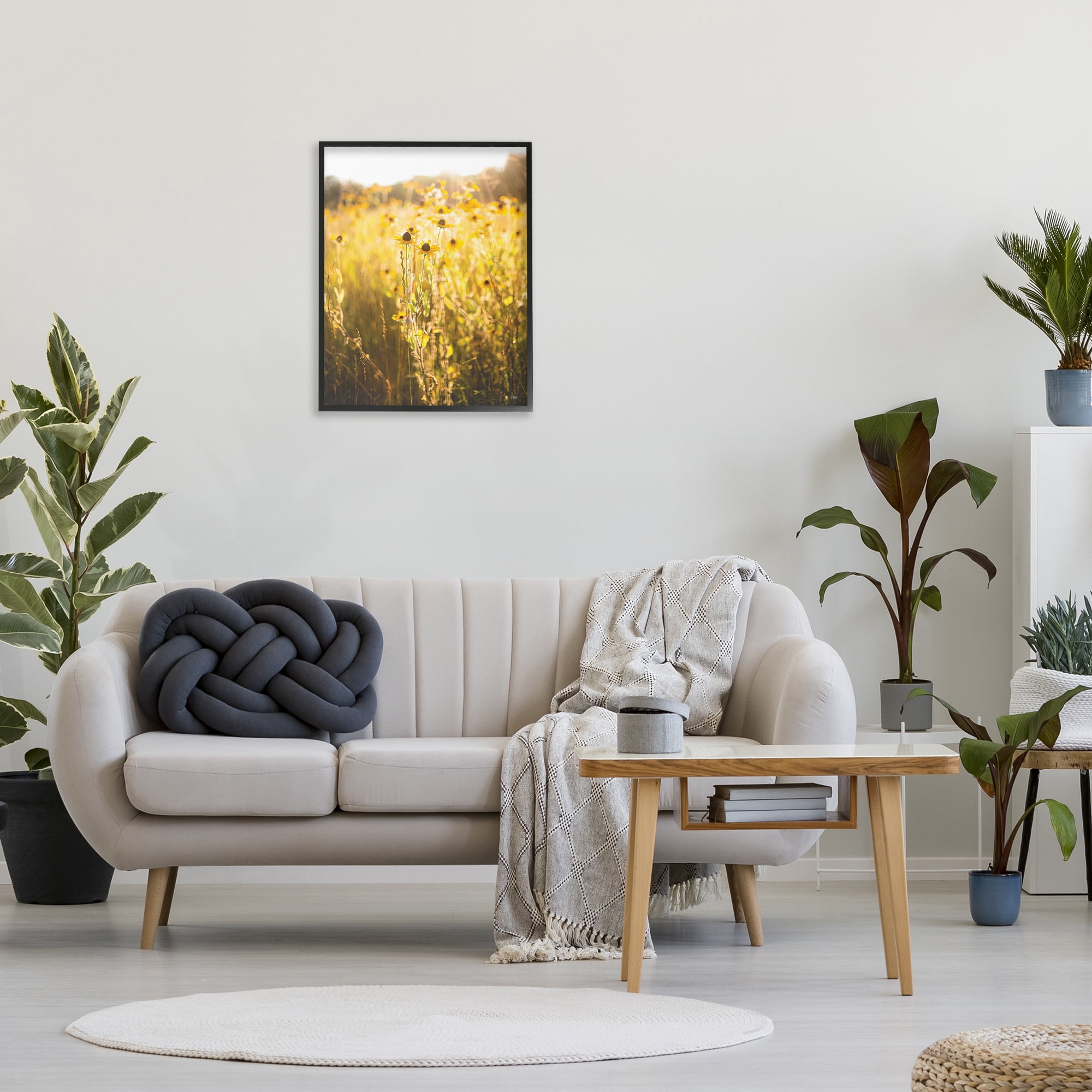 Stupell Industries Sunlit Daisy Meadow Landscape Photography Black Framed Art Print Wall Art, 24 x 30