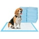 thumbnail image 1 of Almohadilla impermeable superabsorbente para entrenamiento de perros y cachorros, 1 of 5