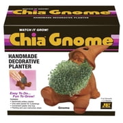 Gnome Classic Chia Pet Handmade Decorative Planter by JEI