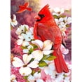 thumbnail image 1 of Parrot Animal Rhinestone Kit 5D Full Square Round Diamond Embroidery Bird Mosaic Flower Handmade Gift, 30*40cm, Frame not included.,5831, 1 of 5