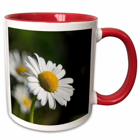 3drose, Close up of a Cute Daisy Flower on a Field, 11oz Two-tone Red Mug