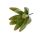 thumbnail image 1 of Adorno Hogar Artificial Flores Schlumbergera Punta Follaje para Oficina Casa de Colco Las plantas suculentas artificiales, 1 of 5