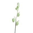 thumbnail image 2 of Sokhug Artificial Lanterns Fruit Stem for Wedding Home Decor, 27.56 Inches, Mint Green 1PC, 2 of 6