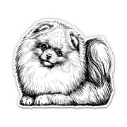 Pomeranian - 3" Vinyl Sticker - For Car Laptop Water Bottle Phone - Waterproof Decal