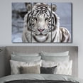 thumbnail image 5 of TISHIRON 3PCS Framed Canvas Wall Art Set,36"x24"White Bengal Tiger Canvas Art Decor, 5 of 6
