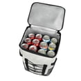thumbnail image 5 of Paquete 10 piezas Hielera tipo mochila interior impermeable, 5 of 5