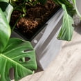 thumbnail image 5 of XBrand Modern 28-Inch Tall Square Planter, Modern Tapered Planter Perfect for Indoor & Outdoor Planter, Patio Décor, Set of 2, Black, 5 of 10