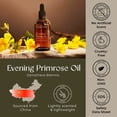 thumbnail image 6 of Gya Labs Evening Primrose Carrier Oil - 3.4 fl oz - for Hair, Skin, Face, Scalp & Body Massage, 6 of 7