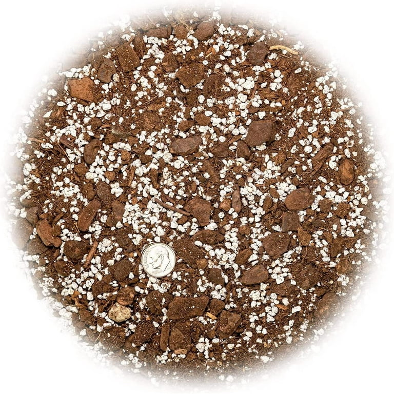 Palm Tree Potting Mix - The Ultimate Soil for Strong and Healthy Palms   - Top Choice for Palm Tree Growers  [5 QUART BAG] - Walmart.com