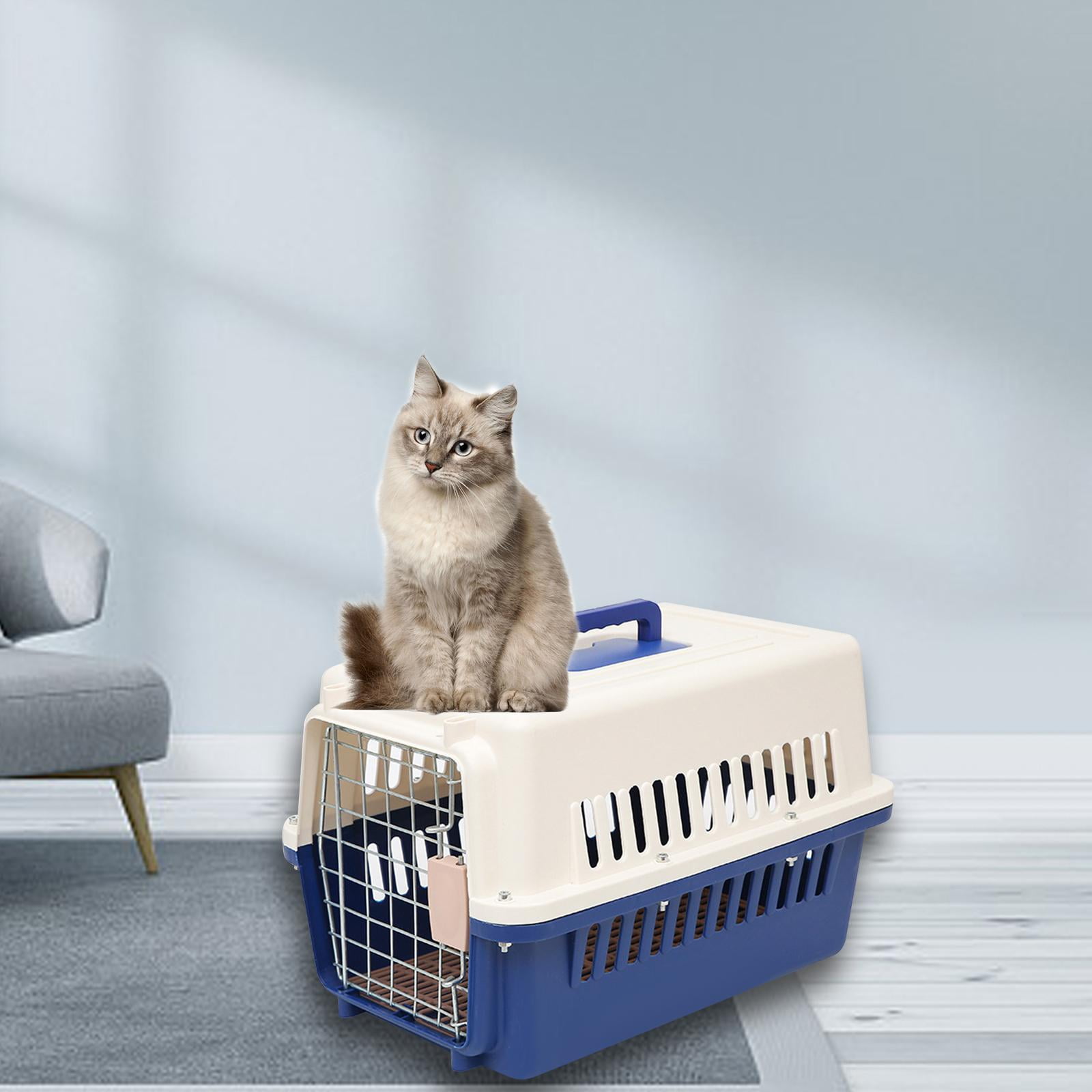 Hard Sided Travel Carrier Kennel Cat Dog Cage for Rabbits Traveling Outdoor Size M Walmart