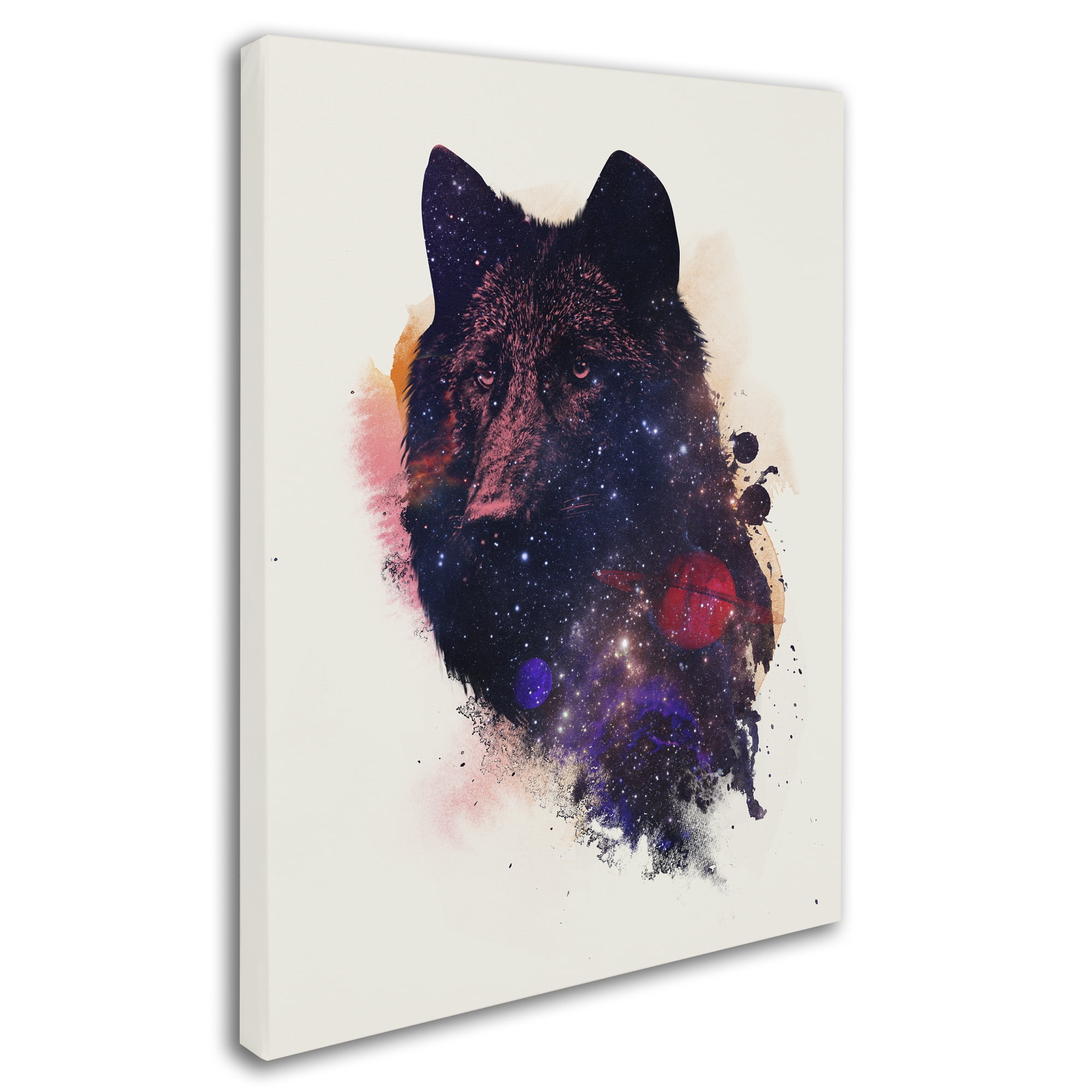 Robert Farkas 'Universal Wolf' Canvas Art 18 x 24