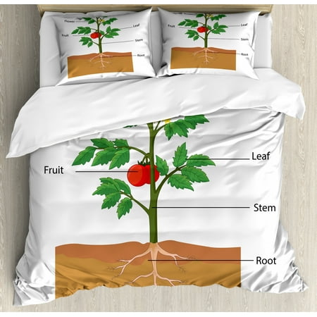 

Biology Duvet Cover Set Queen Size Cartoon Style Illustration Showing the Parts of a Tomato Plant Gardening Theme 3 Piece Bedding Set with 2 Pillow Shams Multicolor by Ambesonne