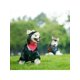 thumbnail image 3 of 1pc Pet Accessory Pilot Hat For Dogs, Teddy Bear Warm Leather Cap, Fashionable, 3 of 5