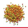 thumbnail image 2 of Zupreem® Fruitblend® Daily Bird Food Pellets for Small Birds 14oz, 2 of 11
