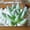 D, variant on Fake Succulents Plants Artificial Small Plant 1Pcs Artificial Succulents Plants Faux Plastic Succulents Mini Fake Plants Realistic Artificial Fake Plants