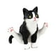 thumbnail image 4 of Figura de Gato Sunnimix Juguetes de Gato de Simulación Decoración Pas Negro, 4 of 8