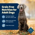 thumbnail image 4 of Blue Buffalo Freedom Grain-Free Natural Adult Dry Dog Food, Chicken & Potatoes, 11-lb. Bag, 4 of 12