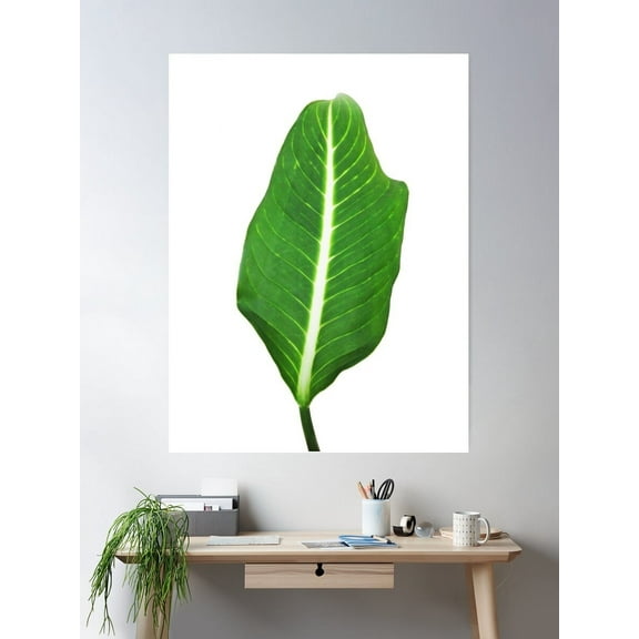 Kna Prints - Tropical Leaf Poster , UNFRAMED-8x12