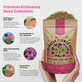 thumbnail image 2 of Echinacea Seeds Pack 4 oz – 37,500 Non-GMO Heirloom Seeds for Planting Indoors & Outdoors – Resealable Bag, Pollinator-Friendly Wildflowers, High Germination – USA Grown, 2 of 6