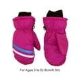 thumbnail image 4 of Toystoory 3 pares de manoplas para niños, impermeables, Unisex, cálidos para invierno, portátiles, cómodos, patrón geométrico, estampado, diseño Suministros térmicos Rosa roja S Toystoory HA059220-13B, 4 of 6