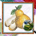 thumbnail image 1 of Kit Punto Cruz Pera Con Cuentas Bordado Parcial Arte para El 9CT 25x25cm, 1 of 9