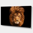 thumbnail image 2 of Face of Male Lion on Black - Abstract Canvas Art Print, 2 of 3