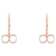 thumbnail image 2 of Guardurnaity Tijeras para cejas, tijeras para el pelo de la nariz de acero inoxidable, cortador de cejas, accesorio para eliminar el pelo, Oro rosa 2Conjunto, 2 of 6