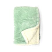 Parent's Choice Green Royal Plush Blanket