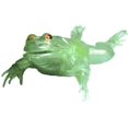 thumbnail image 2 of HL301/12 - TRANSPARENT BULL FROG MODEL KIT 11IN LONG, 2 of 2
