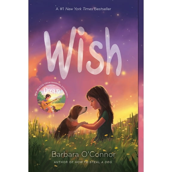 Pre-Owned Wish (Paperback) 1250144051 9781250144058