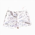 thumbnail image 2 of WXFAZCVU Girls Sequins Shorts Trendy Summer Clothes Hot Pants for Party Dance Daily Wear Size 5-7 Years, 2 of 4