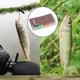 thumbnail image 4 of Juego de moscas atadas, cebo artificial, señuelo de pesca, caja de moscas, kit de moscas para pesca con mosca D, 4 of 9