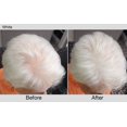 thumbnail image 4 of Root Touch Up Powder Joan Rivers Great Hair Day White, 4 of 4