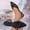 Black, variant on Womens Casual Loafers, Soft Soled Flat Sandals, Pointed Toe Slingback Shoes, Comfortable Padded Insole, Flexible Sole, Indoor Outdoor Wear, Everyday Work and Leisure Silver