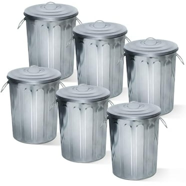 Plexon 5 Gallon Small Metal Trash Can with Lid Outdoor Galvanized Bucket with Lid 5 Gal Fireplace Ash Bucket for Wood Stove Storage Can for Dog Food Bird Seed Storage Container Rod