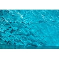 thumbnail image 2 of Engelbrecht, Jim 14x11 Black Ornate Wood Framed with Double Matting Museum Art Print Titled - Glacial ice-iceberg-LeConte Bay-Alaska-USA, 2 of 4