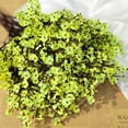 thumbnail image 6 of 10 Bundle Artificial Babys Breath Flowers Fake Gypsophila Bouquet Faux Silk Floral for Flower Arrangements Kitchen Wedding Home Decor (Yellow), 6 of 8