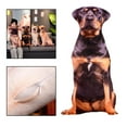 thumbnail image 5 of Cojín de Almohada Suave con Estampado de Mascota, 5 of 5