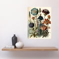 thumbnail image 2 of Vintage Botanical Illustration Ernst Haeckel Inspired Plant Study Modern Watercolour Painting Large Wall Art Poster Print Thick Paper 18X24 Inch, 2 of 5