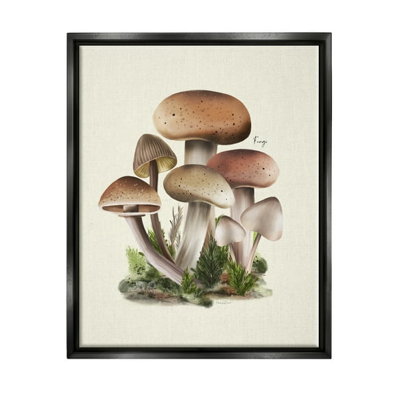 Stupell Industries Brown Woodland Mushrooms Botanical & Floral Painting Black Floater Framed Canvas Art Print Wall Art, 17 x 21