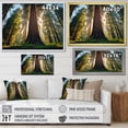 thumbnail image 4 of Designart "Majesty Redwood Forest Tree I" Tree Redwood Floater Framed Wall Art Living Room, 4 of 7