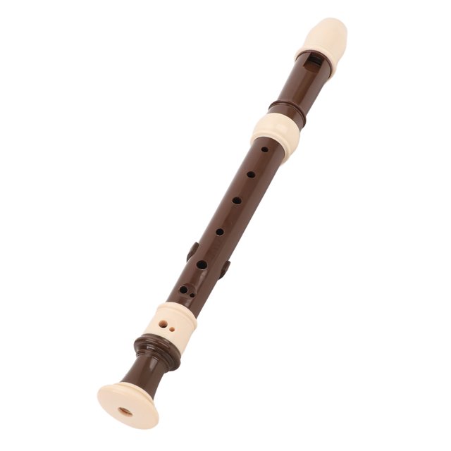 8 Hole Soprano Recorder Instrument German Style C Key Flute ABS Detachable Design Exquisite Craftsmanship Comfortable Playability Convenient Storage Black with Protective Case for