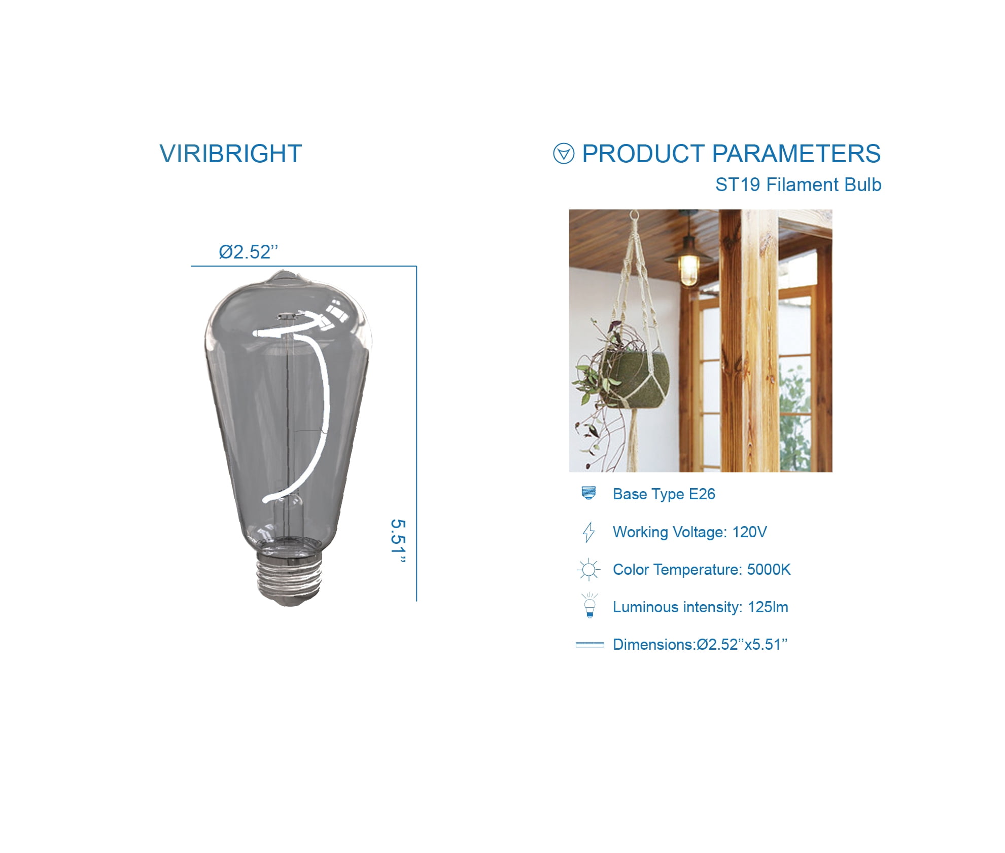 Great Value General Purpose ST19 LED Light Bulb, 4.5W (40W Equiv), Dimmable Daylight, E26 Base 4 Pack