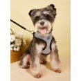 thumbnail image 1 of 1pc Breathable Pet Harness & 1pc Leash, 1 of 4