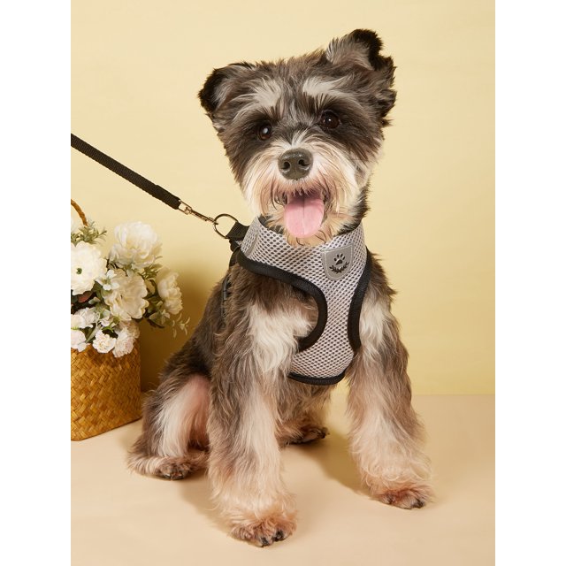 1pc Breathable Pet Harness & 1pc Leash