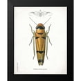 thumbnail image 2 of Babbitt, Gwendolyn 20x24 Black Modern Framed Museum Art Print Titled - Beetle II, 2 of 5