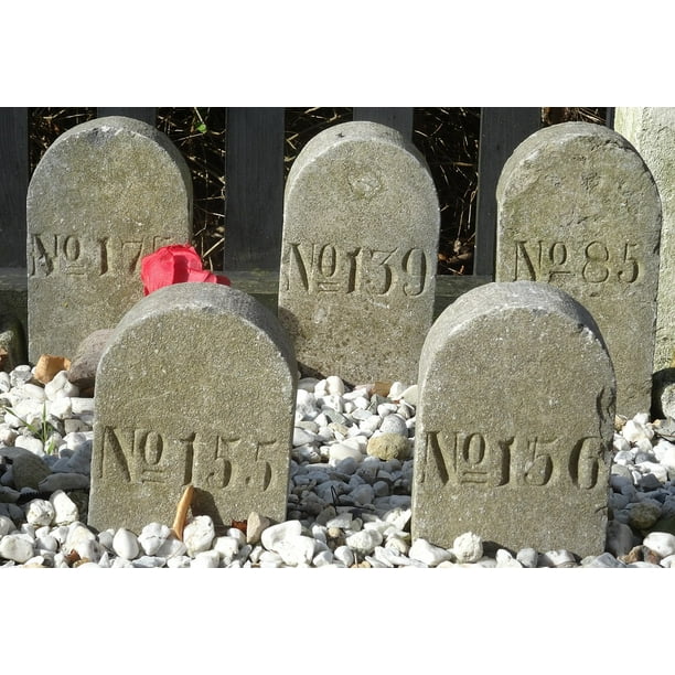 Graves Grave Cemetery Anonymous Grave Stones 20 Inch By 30 Inch Laminated Poster With Bright Colors And Vivid Imagery Fits Perfectly In Many Attractive Frames Walmart Com Walmart Com