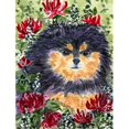 thumbnail image 1 of Carolines Treasures SS8727CHF 28 x 40 in. Pomeranian House Size Canvas Flag, 1 of 4