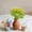 A, variant on Easter Egg Tree Branches Craft Easter Bunny Decorations Artificial Eggs Party Adornments Decorative Egg Stem Ornaments, F