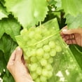thumbnail image 2 of Bolsa protectora de uva 100 piezas LIUXGMXG malla transparente, 2 of 5
